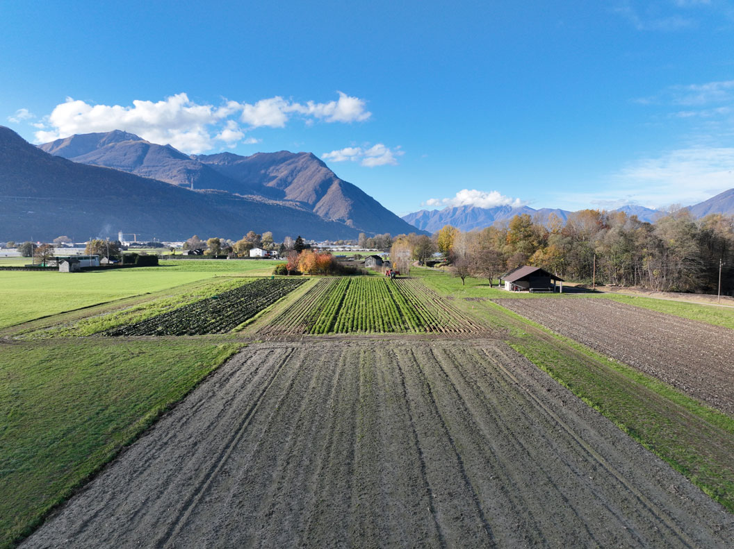 Polo Agricolo