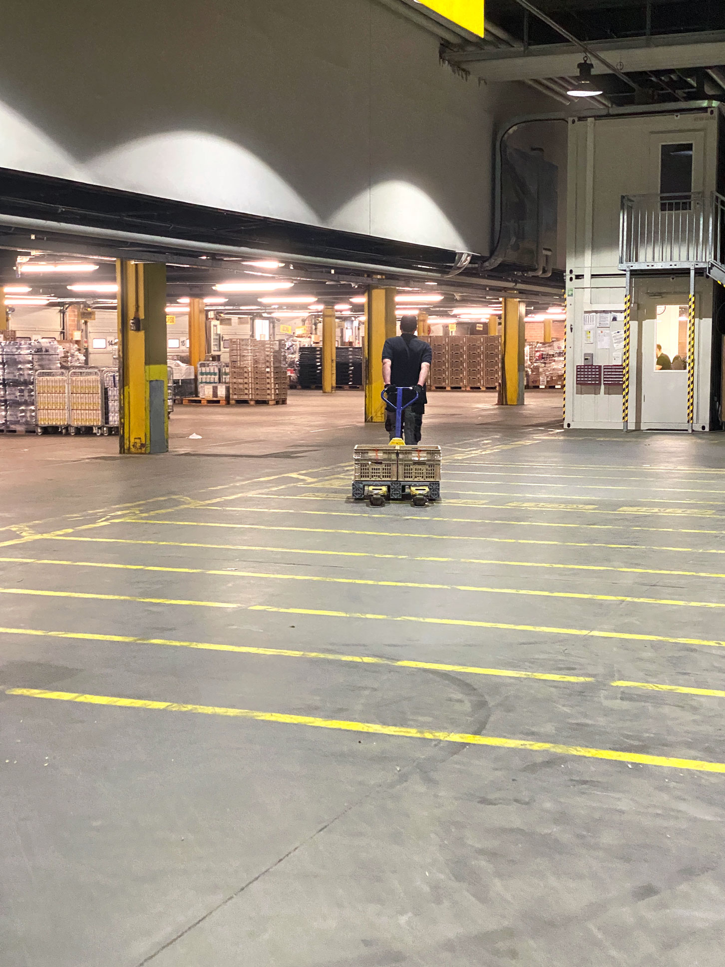 Lab. integrato Migros